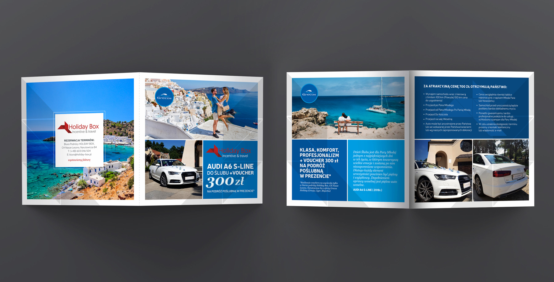 Grecos Holiday, Wild Head Studio, folder